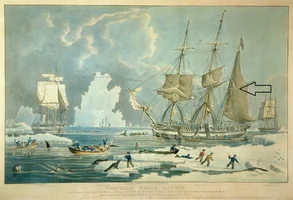 William_John_Huggins_-_Northern_Whale_Fishery_engraved_by_E_Duncan_1829_(colour_aquatint)_-_(...webp