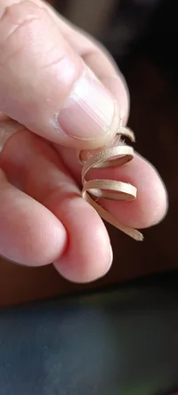 WhatsApp Image 2026-04-12 at 11.31.27.webp