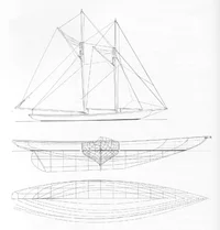 512698356_10236807399074610_6382136870063536075_n (1).webp