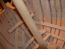 DSCN0270.webp