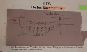 IMG-20240507-WA0040.webp