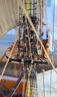20260808_165404.webp
