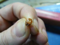 P1020190 [1280x768].JPG