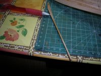 barca Guillermo 029.jpg