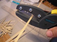 P3190023 [1024x768].JPG