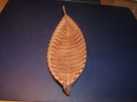 J & J Mini (018).jpg