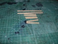 barca guillermo 370.jpg