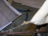 barca guillermo 405.jpg