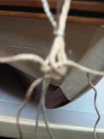 122-2 primera trenza exterior.jpg