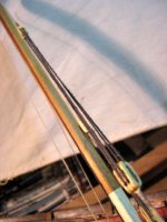 135 Tira del amate de la ostaga (especie de contra driza que además hace de amantillo).jpg