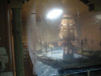 IMG_3175 [800x600].JPG