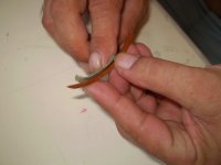 P1220035 [800x600].JPG