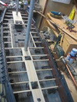 IMG_3462 [800x600].JPG