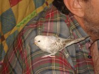 asesor personal1.jpg