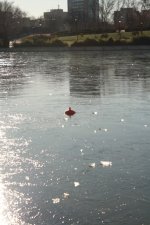 20 Diciembre 2009 007.jpg 20 Diciembre 2009 007.jpg