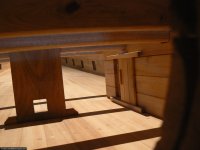 beagle13-1-2010 077 (Copiar).jpg