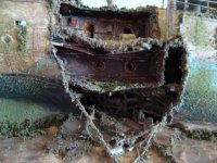 Corbeta tipo flower6.JPG