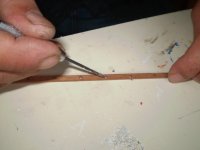 Imagen 439 [800x600].jpg