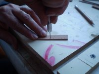 Imagen 457 [800x600].jpg