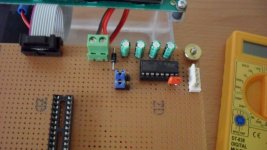 SAM_0346 [800x600].jpg