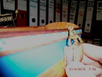 CIMG2849.JPG CIMG2849.JPG