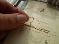 Imagen 530 [800x600].jpg