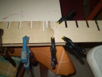 Imagen 548 [800x600].jpg