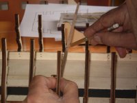 Imagen D [800x600].jpg