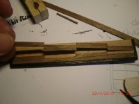 CIMG2886.JPG CIMG2886.JPG