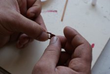 Imagen 543 [800x600].jpg