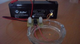 SAM_0441 [800x600].jpg