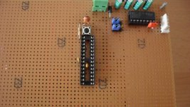 SAM_0442 [800x600].jpg