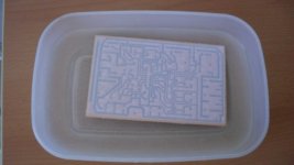 SAM_0348 [800x600].jpg