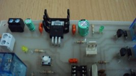 SAM_0425 [800x600].jpg