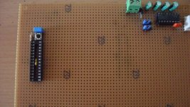 SAM_0507 [800x600].jpg