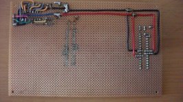 SAM_0510 [800x600].jpg