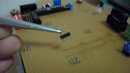 SAM_0522 [1024x768].JPG