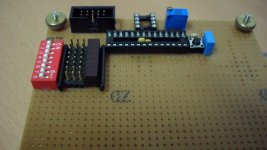 SAM_0517 [1024x768].JPG