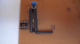 SAM_0540 [1024x768].JPG