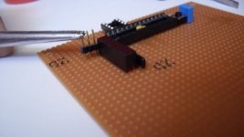 SAM_0548 [1024x768].JPG