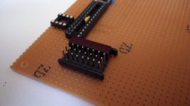 SAM_0550 [1024x768].JPG