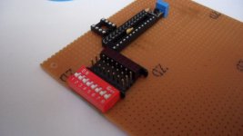 SAM_0554 [1024x768].JPG