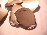 CIMG7597 taladros palas.JPG