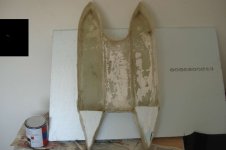 trabuquito creciendo 001.jpg