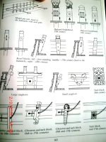 CIMG3639.JPG CIMG3639.JPG