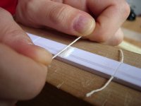 05 Cuerdas en el lomo 1.jpg