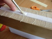 07 Gasa del lomo.jpg