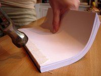 08 Redondeado del lomo.jpg