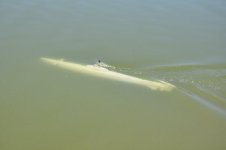 DSC_0224comp.jpg DSC_0224comp.jpg