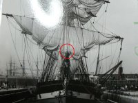 P1020741 [1024x768].JPG